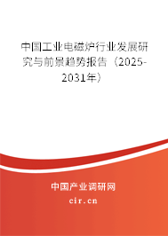 中國工業電磁爐行業發展研究與前景趨勢報告（2025-2031年）