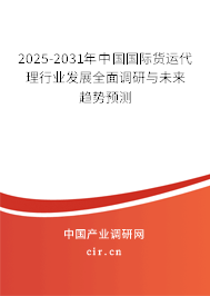 2025-2031年中國國際貨運代理行業(yè)發(fā)展全面調研與未來趨勢預測