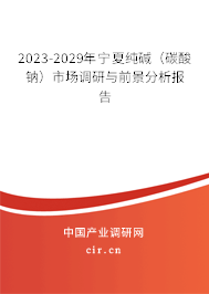 2023-2029年寧夏純堿（碳酸鈉）市場調研與前景分析報告