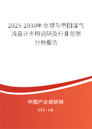 2025-2030年全球與中國濕氣流量計市場調研及行業(yè)前景分析報告