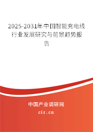 2025-2031年中國智能充電線行業發展研究與前景趨勢報告