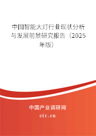 中國智能大燈行業現狀分析與發展前景研究報告（2025年版）