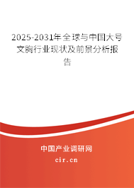 2025-2031年全球與中國大號文胸行業現狀及前景分析報告 2025-2031年全球與中國大號文胸行業現狀及前景分析報告