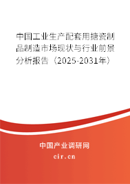 中國工業(yè)生產(chǎn)配套用搪瓷制品制造市場現(xiàn)狀與行業(yè)前景分析報告（2025-2031年）