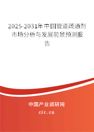2025-2031年中國管道疏通劑市場分析與發展前景預測報告