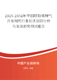 2025-2031年中國垃圾填埋氣開發利用行業現狀調研分析與發展趨勢預測報告