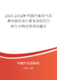 2025-2031年中國汽車排氣及凈化器系統行業發展研究分析與市場前景預測報告