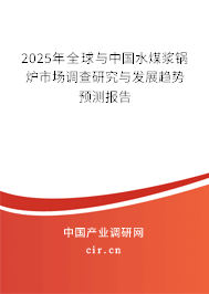 2025年全球與中國水煤漿鍋爐市場調(diào)查研究與發(fā)展趨勢預(yù)測報告