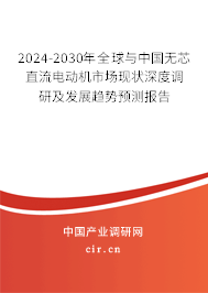2024-2030年全球與中國無芯直流電動機市場現狀深度調研及發展趨勢預測報告