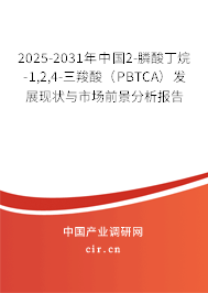 2025-2031年中國2-膦酸丁烷-1,2,4-三羧酸（PBTCA）發展現狀與市場前景分析報告