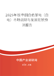 2025年版中國白色家電（白電）市場調研與發展前景預測報告