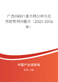 廣西純堿行業市場分析與前景趨勢預測報告（2025-2031年）