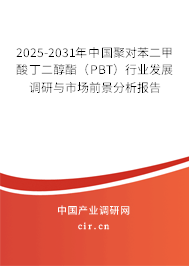 2025-2031年中國聚對苯二甲酸丁二醇酯（PBT）行業發展調研與市場前景分析報告