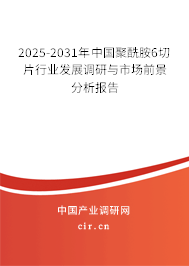 2025-2031年中國(guó)聚酰胺6切片行業(yè)發(fā)展調(diào)研與市場(chǎng)前景分析報(bào)告