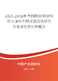 2024-2030年中國膨脹鋼結構防火涂料市場深度調查研究與發展前景分析報告