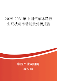 2025-2030年中國汽車冰箱行業(yè)現(xiàn)狀與市場前景分析報告