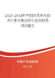 2025-2031年中國無線充電技術行業全面調研與發展趨勢預測報告