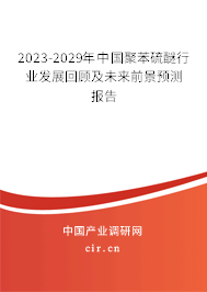 2023-2029年中國聚苯硫醚行業發展回顧及未來前景預測報告
