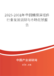 2024-2030年中國觸摸屏組件行業發展調研與市場前景報告
