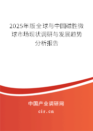 2024年版全球與中國(guó)磁性微球市場(chǎng)現(xiàn)狀調(diào)研與發(fā)展趨勢(shì)分析報(bào)告