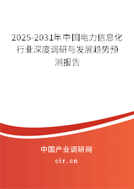 2025-2031年中國電力信息化行業深度調研與發展趨勢預測報告