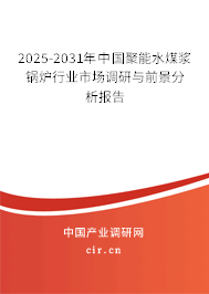 2025-2031年中國聚能水煤漿鍋爐行業(yè)市場(chǎng)調(diào)研與前景分析報(bào)告