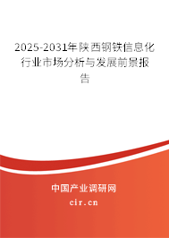 2025-2031年陜西鋼鐵信息化行業(yè)市場(chǎng)分析與發(fā)展前景報(bào)告