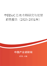 中國SoC芯片市場研究與前景趨勢報(bào)告（2025-2031年）