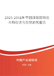 2025-2031年中國溴氨酸鈉鹽市場(chǎng)現(xiàn)狀與前景趨勢(shì)報(bào)告