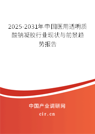 2025-2031年中國醫用透明質酸鈉凝膠行業現狀與前景趨勢報告
