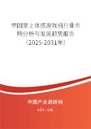 中國掌上體感游戲機行業(yè)市場分析與發(fā)展趨勢報告（2025-2031年）