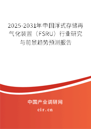 2025-2031年中國浮式存儲再氣化裝置（FSRU）行業研究與前景趨勢預測報告