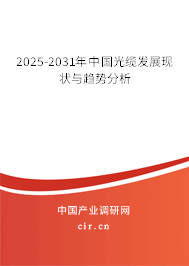 2025-2031年中國光纜發展現狀與趨勢分析