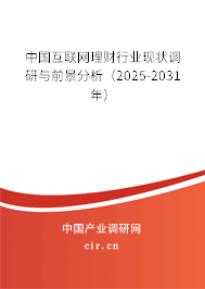 中國互聯網理財行業現狀調研與前景分析（2025-2031年）