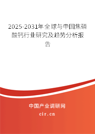 2025-2031年全球與中國焦磷酸鈣行業(yè)研究及趨勢分析報告 2025-2031年全球與中國焦磷酸鈣行業(yè)研究及趨勢分析報告