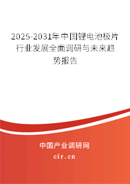 2025-2031年中國鋰電池極片行業發展全面調研與未來趨勢報告