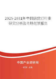 2025-2031年中國露營燈行業研究分析及市場前景報告