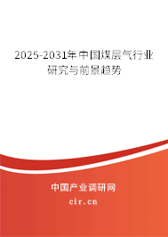 2025-2031年中國煤層氣行業研究與前景趨勢