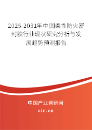 2024-2030年中國柔性防火密封膠行業現狀研究分析與發展趨勢預測報告