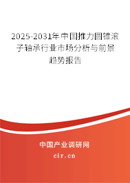 2025-2031年中國推力圓錐滾子軸承行業市場分析與前景趨勢報告