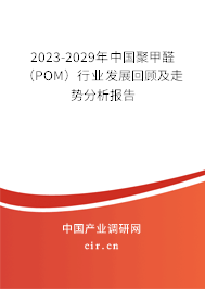 2023-2029年中國聚甲醛（POM）行業發展回顧及走勢分析報告