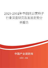 2025-2031年中國無公害柿子行業深度研究及發展走勢分析報告