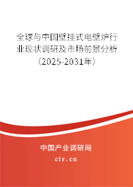 全球與中國壁掛式電壁爐行業(yè)現(xiàn)狀調(diào)研及市場前景分析（2025-2031年）