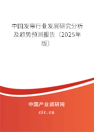 中國發帶行業發展研究分析及趨勢預測報告（2025年版）