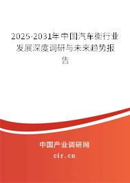 2025-2031年中國汽車衡行業發展深度調研與未來趨勢報告