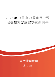 2025年中國水力發電行業現狀調研及發展趨勢預測報告 2025年中國水力發電行業現狀調研及發展趨勢預測報告