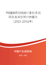 中國網(wǎng)絡控制器行業(yè)現(xiàn)狀調(diào)研及發(fā)展前景分析報告（2025-2031年）