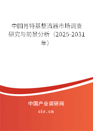 中國肖特基整流器市場調查研究與前景分析（2025-2031年）