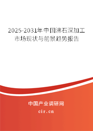 2025-2031年中國沸石深加工市場現狀與前景趨勢報告 2025-2031年中國沸石深加工市場現狀與前景趨勢報告