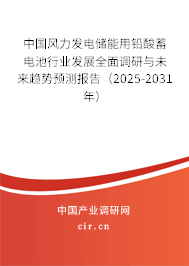 中國風(fēng)力發(fā)電儲(chǔ)能用鉛酸蓄電池行業(yè)發(fā)展全面調(diào)研與未來趨勢預(yù)測報(bào)告（2025-2031年）
